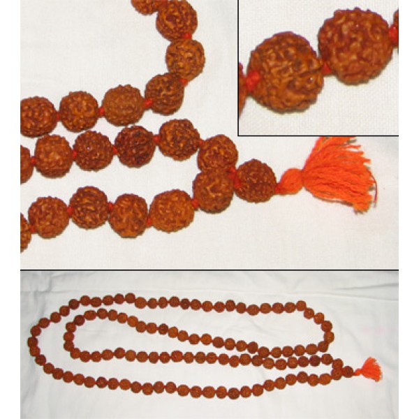 Rudraksha Mala (Large Beads), 54 Inches; Rough Quality
